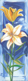 Buy 2 Vertical Flowers at AllPosters.com