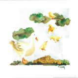 Ducks
