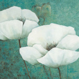 Buy Flora I at AllPosters.com