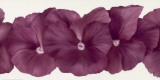 Violet Flower III