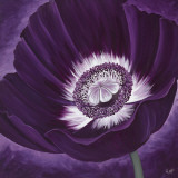 Purple Passion II