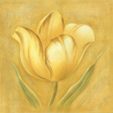 Great Tulip I