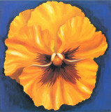Buy Pansy Yellow at AllPosters.com