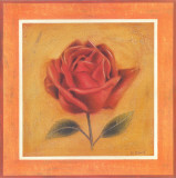 Crimson Roman Rose