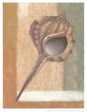 Buy Caracolas at AllPosters.com