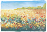 Flower Field I