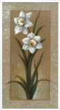 Buy Flores Sobre Lino II at AllPosters.com