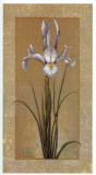 Buy Flores Sobre Lino I at AllPosters.com