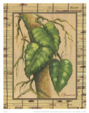 Tropical Plant I