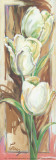 Buy 3 White Flowers at AllPosters.com