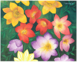 Wild Flowers I