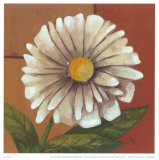 Buy Daisy I at AllPosters.com