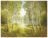 Buy Pond Spinka at AllPosters.com