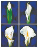 Buy Blossoming Flower I at AllPosters.com