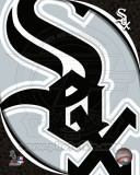 2011 Chicago White Sox Team Logo Photo