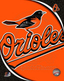 2011 Baltimore Orioles Team Logo