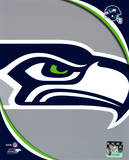 Seattle Seahawks 2011 Logo