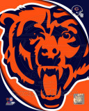 Chicago Bears 2011 Logo