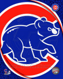 2011 Chicago Cubs Team Logo