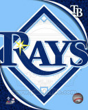 2011 Tampa Bay Rays Team Logo Photo