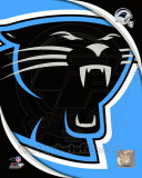 Carolina Panthers 2011 Logo