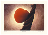 Buy Blessed at AllPosters.com