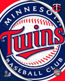 2011 Minnesota Twins Team Logo