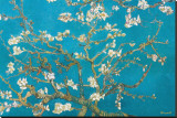 Almond Branches in Bloom, San Remy, c.1890