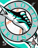 2011 Florida Marlins Team Logo