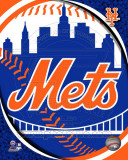 2011 New York Mets Team Logo