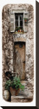 Buy Doorway With Vines at AllPosters.com