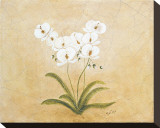 Buy Flower I at AllPosters.com