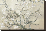 Almond Branches in Bloom, San Remy, c.1890 (tan)