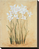 Buy Flower IV at AllPosters.com