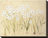 Buy Flower III at AllPosters.com