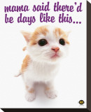 Buy Mama Said at AllPosters.com