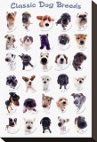 Buy Dog Breeds at AllPosters.com