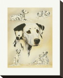 Buy Dalmatian at AllPosters.com