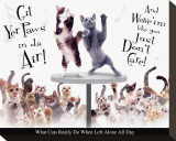 Buy Cat Party at AllPosters.com