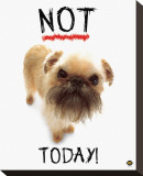Buy Not Today! at AllPosters.com