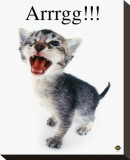 Buy Arrrgg! at AllPosters.com