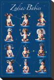 Buy Zodiac Babies at AllPosters.com