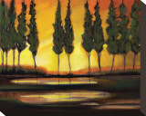 Buy Peaceful California Trees at AllPosters.com