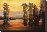 Buy Rio Grande River I at AllPosters.com