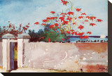 Buy Wall, Nassau, c.1898 at AllPosters.com