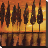 Buy Peaceful Trees at Sunset at AllPosters.com