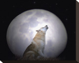 Singing Moon