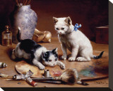 Playful Kittens