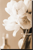 Tulips in Sepia