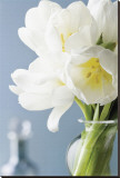 White Tulips Bouquet